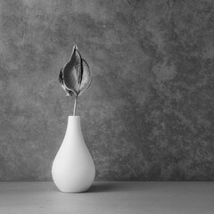 Fine Art Still Life Black and White image of a Milkweed Pod in a Small vase in Square Format
