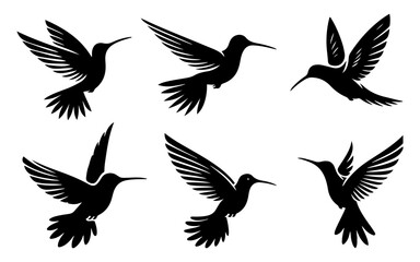 Vector flying Bird Silhouette onj white background.