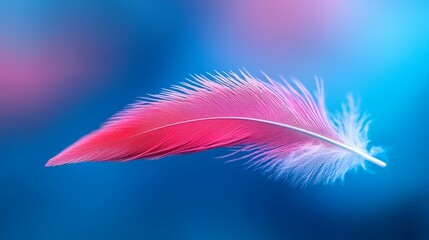  a pink feather floating in the air against a blue and pink background The feather is the focal point of the image, with the blue background providing a vivid contr