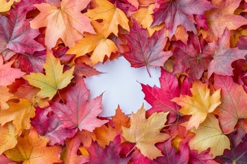 A frame made from dried leaves on a gray background. Autumn, fall, thanksgiving day concept. Flat lay, top view, copy space.
