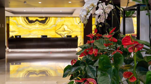 Dubai, UAE - 13 Nov 2024: JW Marriott Marquis Dubai lobby reception area, showcasing the luxurious ambiance of the world's tallest hotel, a twin-tower architectural marvel.