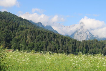 Zugspitze Mountain in front of lush meadows - Cycling the transalpine route Via Claudia Augusta