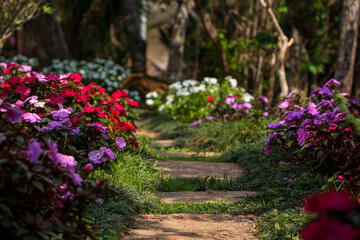 Garden with flowers. Pink, white, red flowers. Path in the forest