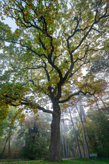 Late Autumn vibes in the park