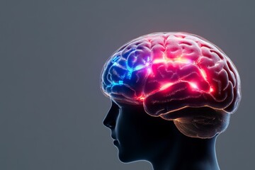 A glowing 3D scan of a brain, highlighting neural pathways with blue and red hues on a dark background