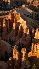 Aerial view of Bryce Canyon's hoodoos.