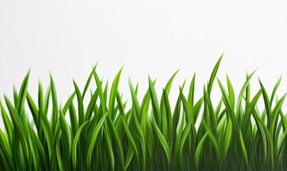Fototapeta premium Vibrant green grass captured against a white background, showcasing lush shades of emerald and lime 