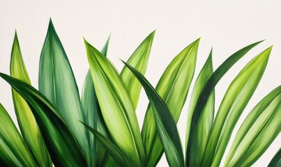 Fototapeta premium Vibrant green grass captured against a white background, showcasing lush shades of emerald and lime 
