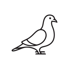 pigeon bird logo icon silhouette arts 