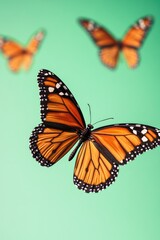 Obraz premium A group of orange butterflies flying together through the air