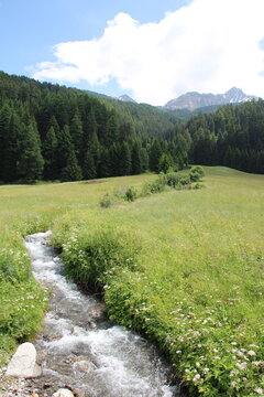 Alpine meadows and mountain streams at Reschenpass (Reschen Pass) - Cycling the transalpine route Via Claudia Augusta