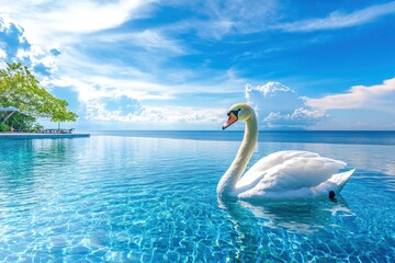 A graceful white swan glides across the crystal-clear waters of a tropical swimming pool, with a lush green island and bright blue sky in the background.