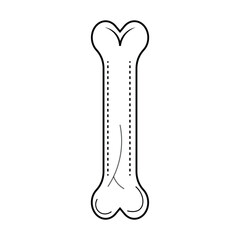 Human anatomical bone art illustration .