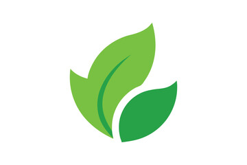  Eco icon green leaf vector art illustration.