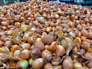 garlic and onions