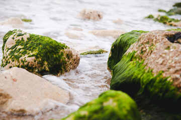 water flowing on the rocks