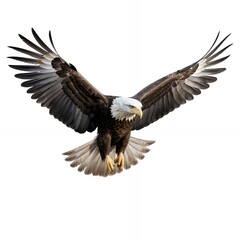 Fototapeta premium A majestic eagle soaring with outstretched wings, showcasing its powerful presence.