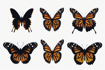A group of orange and black butterflies fluttering in the air