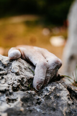 close-up of a climber's hand covered with chalk