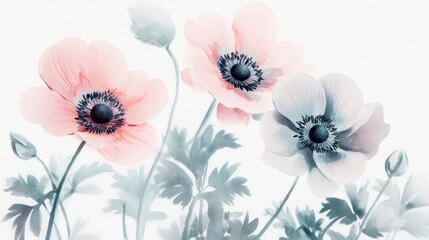 Three pink and blue flowers are in a field