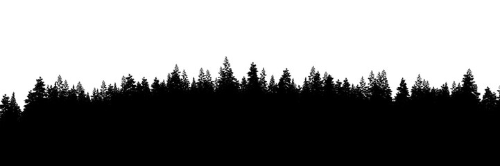 3d rendering of the dense pine forest silhouette on white background. Wide seamless nature panorama landscape