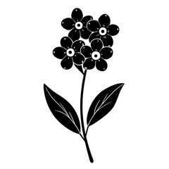 black and white flower