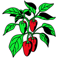 Pepper-plant-red-green-and-white-color
