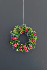 Christmas wreath made with english holly leaves and dried roses