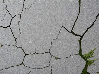 Obraz premium Rough, weathered gray stone texture with cracks and moss, weathered, solid