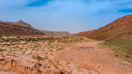 Moroccan Sahara Desert, ancient black volcanic mountains, the Sahara River Oued Ghris, stunning Acacia trees, wild camels, and desert camp,  landscape where golden sand dunes merge with green plants