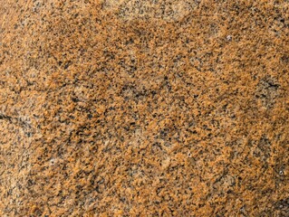 3d texture of tropical brown granite 