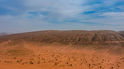 Moroccan Sahara Desert, ancient black volcanic mountains, the Sahara River Oued Ghris, stunning Acacia trees, wild camels, and desert camp,  landscape where golden sand dunes merge with green plants