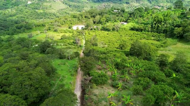 im&aacute;genes panor&aacute;micas de un dron a&eacute;reo movi&eacute;ndose por un sendero estrecho en un campo con c&eacute;sped, con vistas a las monta&ntilde;as en un clima soleado