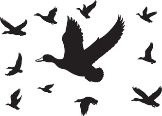 Obraz premium Flock of flying ducks silhouette design, isolated vector 