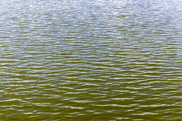 calm water background in a lake in Brazil Water surface background. Small ripple on the surface of the water Abstract waves on water surface. Shallow depth of field.
