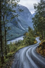 The road leads to a breathtaking view of a fjord surrounded by lush forest, perfect for a scenic drive or hiking adventure.