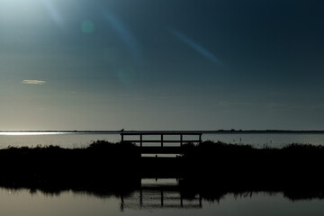 Paysage de Camargue en France autour de  l'&eacute;tang du Fangassier