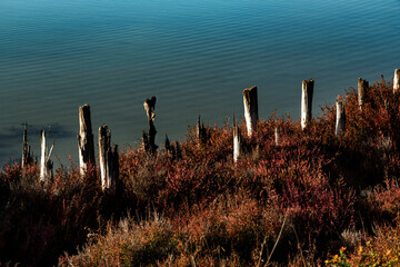 Paysage de Camargue en France autour de  l'&eacute;tang du Fangassier