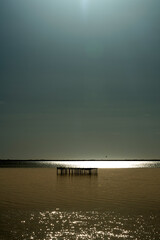 Paysage de Camargue en France autour de  l'&eacute;tang du Fangassier