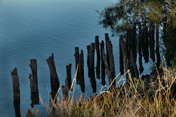 Paysage de Camargue en France autour de  l'&eacute;tang du Fangassier