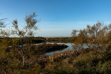 Paysage de Camargue en France autour de  l'étang du Fangassier