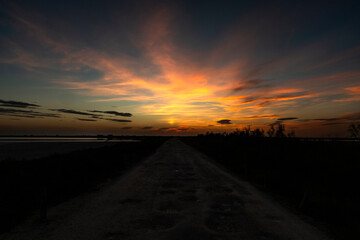 Paysage de Camargue en France autour de  l'&eacute;tang du Fangassier