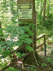 Bigfoot Sasquatch Mystery conspiracy creature forest Area 