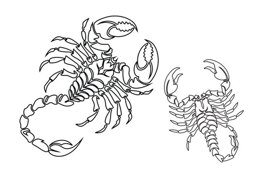 Scorpion vector silhouette
