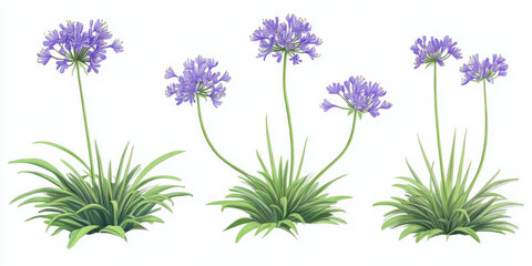 Jungle Black-Pantha lily flower plant shapes cutout 3d render
