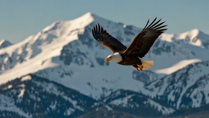 Bald eagle soaring over snow-capped mountains.