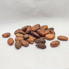 Pile of Raw Cocoa Beans on White Background