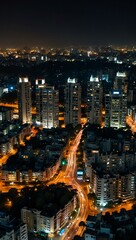 Bangalore cityscape aerial view at night.