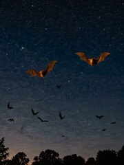 Bats flying in a nighttime sky.