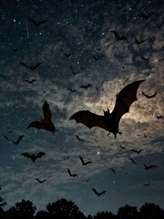 Bats flying in a nighttime sky.
